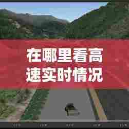 在哪里看高速实时情况,在哪里看高速实时情况图