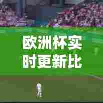 欧洲杯实时更新比分，欧洲杯比分合集 