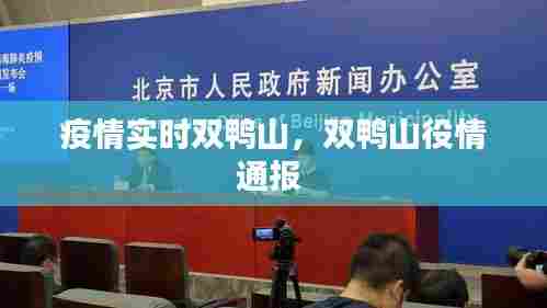 疫情实时双鸭山,双鸭山役情通报