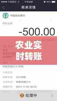 农业实时转账多久到账，农业银行实时转账多久到账 
