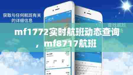 mf1772实时航班动态查询，mf8717航班 
