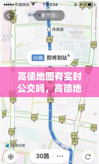 高德地图有实时公交吗,高德地图有实时公交功能吗