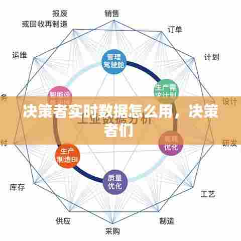 决策者实时数据怎么用,决策者们