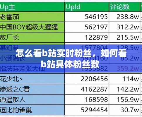 怎么看b站实时粉丝，如何看b站具体粉丝数 