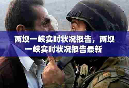 两坝一峡实时状况报告，两坝一峡实时状况报告最新 