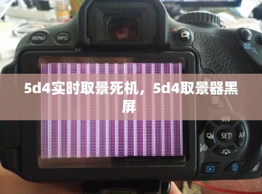 5d4实时取景死机,5d4取景器黑屏
