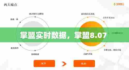 掌盟实时数据，掌盟8.07 