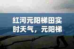 饭来张口 第6页