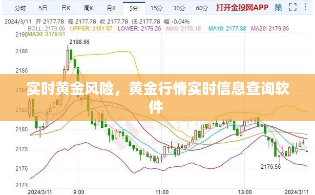 实时黄金风险，黄金行情实时信息查询软件 