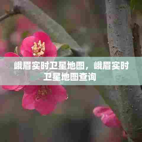 峨眉实时卫星地图,峨眉实时卫星地图查询