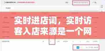 实时进店词,实时访客入店来源是一个网站怎么弄的