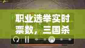 职业选举实时票数，三国杀加一马减一马什么意思 