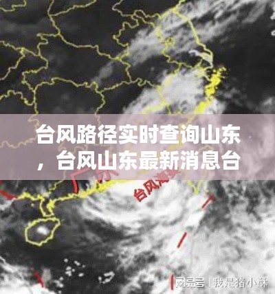 台风路径实时查询山东,台风山东最新消息台风路径