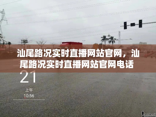 张皇无措 第7页