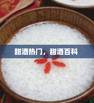 甜酒热门，甜酒百科 