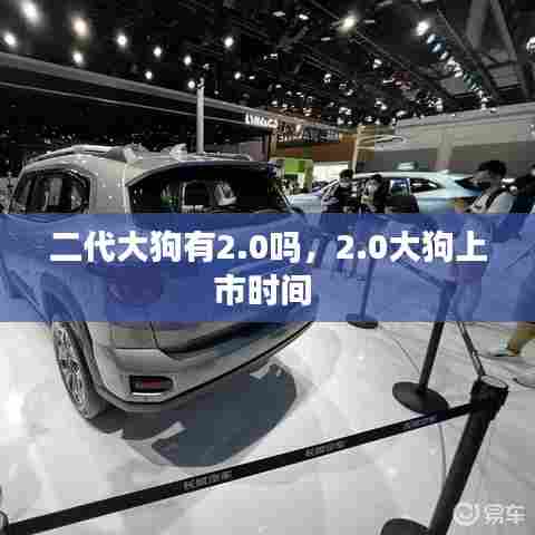 二代大狗有2.0吗，2.0大狗上市时间 