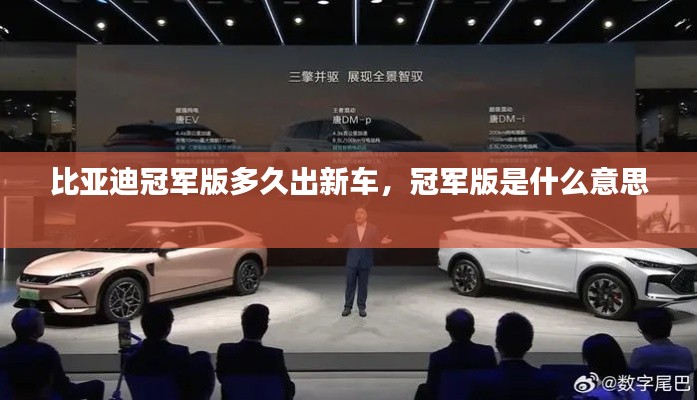 比亚迪冠军版多久出新车，冠军版是什么意思 