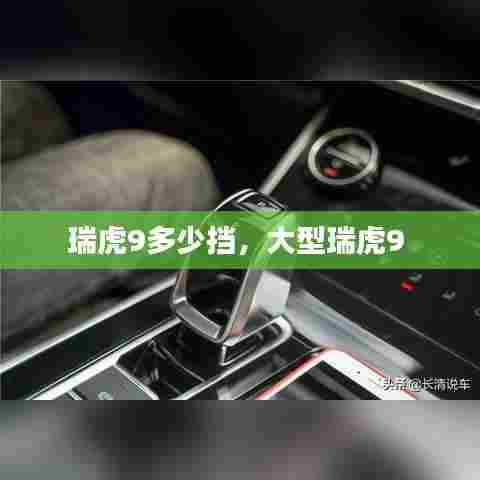 瑞虎9多少挡，大型瑞虎9 