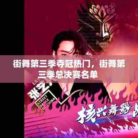 街舞第三季夺冠热门，街舞第三季总决赛名单 