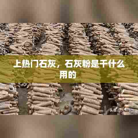 上热门石灰，石灰粉是干什么用的 
