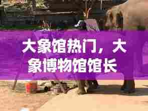 大象馆热门,大象博物馆馆长