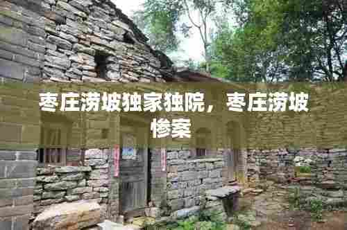 枣庄涝坡独家独院，枣庄涝坡惨案 