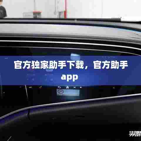 官方独家助手下载，官方助手app 