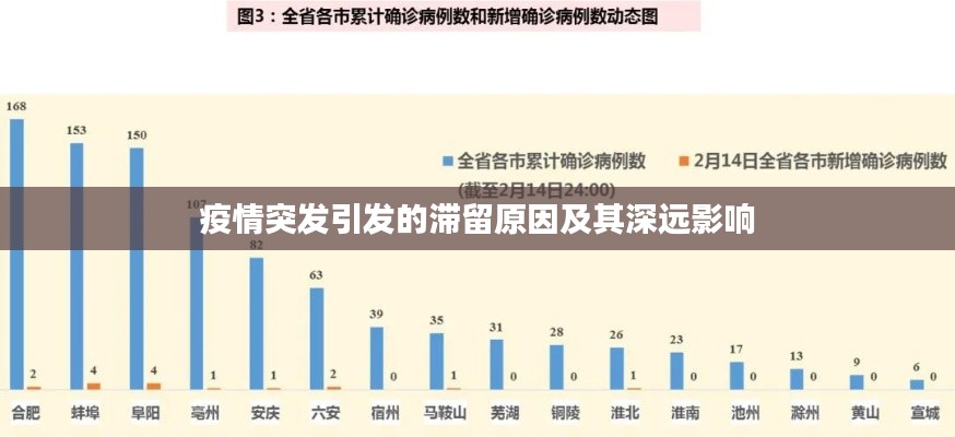疫情突发引发的滞留原因及其深远影响