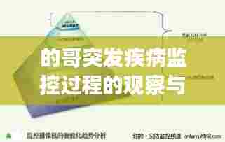的哥突发疾病监控过程的观察与探讨，深度解析