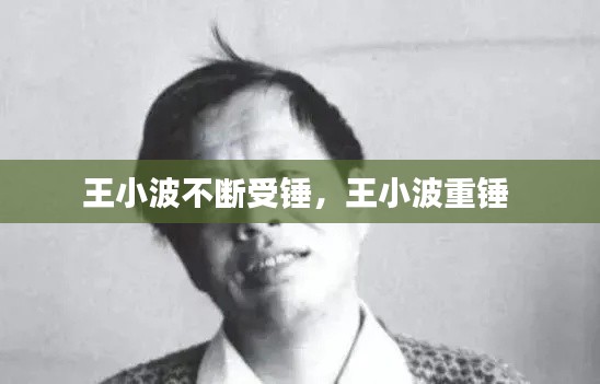 王小波不断受锤,王小波重锤