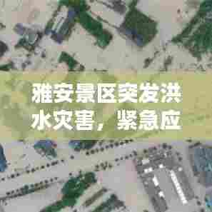 雅安景区突发洪水灾害，紧急应对！