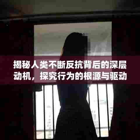 揭秘人类不断反抗背后的深层动机，探究行为的根源与驱动力