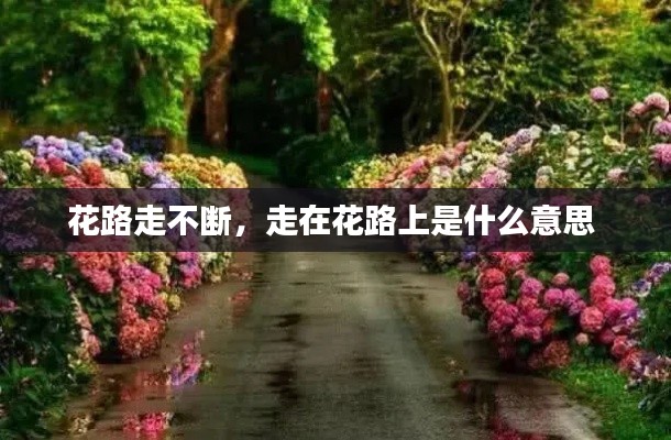 花路走不断，走在花路上是什么意思 
