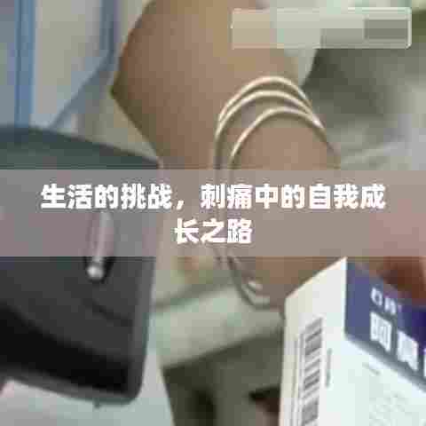 生活的挑战，刺痛中的自我成长之路
