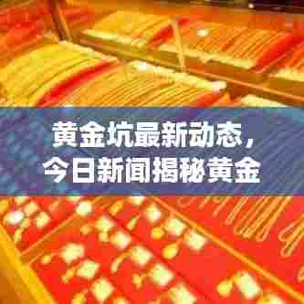 黄金坑最新动态，今日新闻揭秘黄金市场新动向