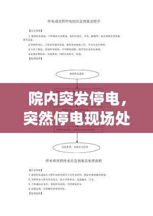 院内突发停电，突然停电现场处置方案 