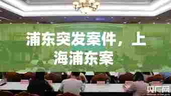浦东突发案件，上海浦东案 