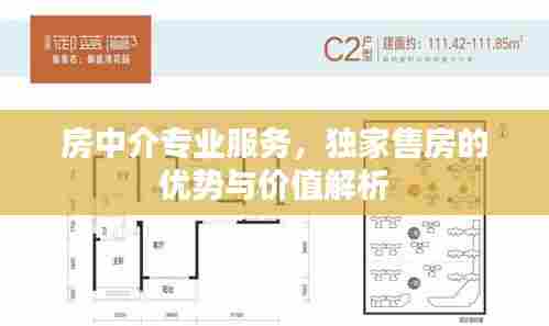 房中介专业服务，独家售房的优势与价值解析