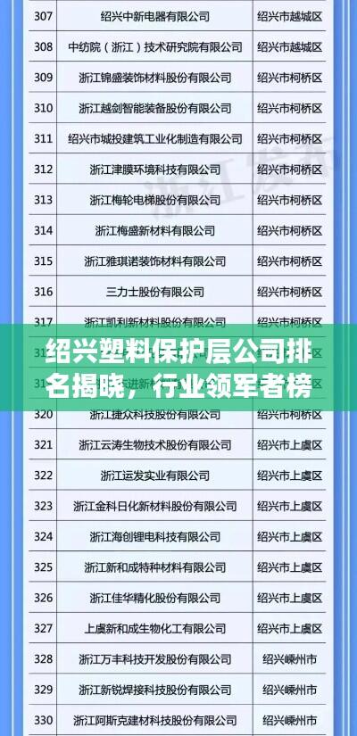 绍兴塑料保护层公司排名揭晓,行业领军者榜单揭秘!
