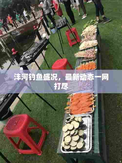 沣河钓鱼盛况,最新动态一网打尽