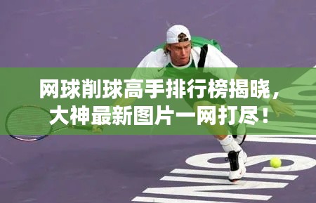 网球削球高手排行榜揭晓，大神最新图片一网打尽！