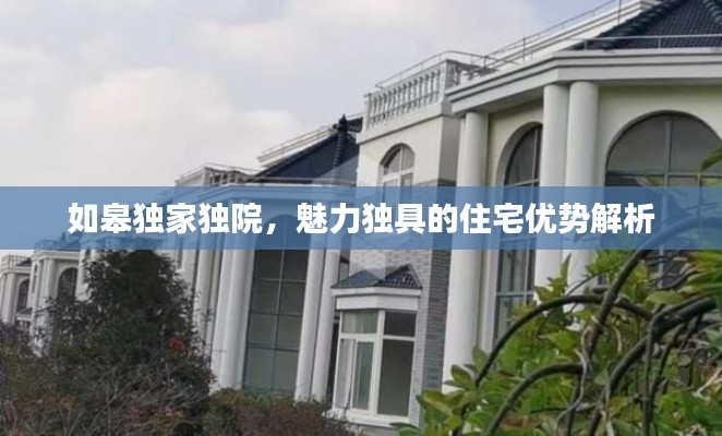 如皋独家独院，魅力独具的住宅优势解析