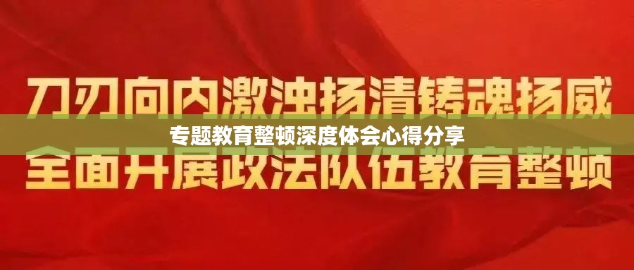 专题教育整顿深度体会心得分享