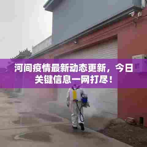 河间疫情最新动态更新,今日关键信息一网打尽!
