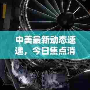中美最新动态速递，今日焦点消息全解析