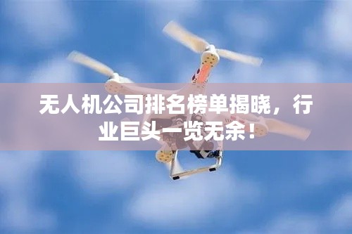 无人机公司排名榜单揭晓，行业巨头一览无余！