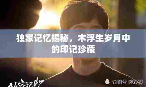 独家记忆揭秘，木浮生岁月中的印记珍藏