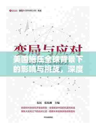 美国施压全球背景下的影响与挑战，深度解析与应对之道