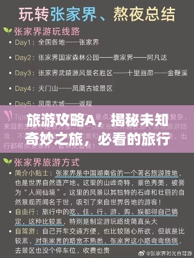 旅游攻略A，揭秘未知奇妙之旅，必看的旅行攻略！