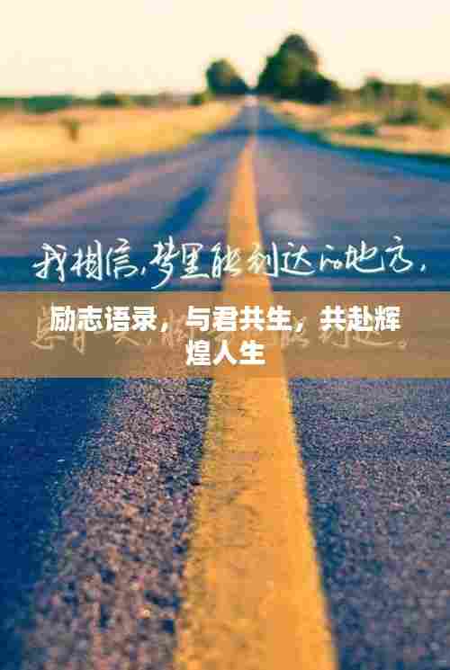 择善而从 第7页